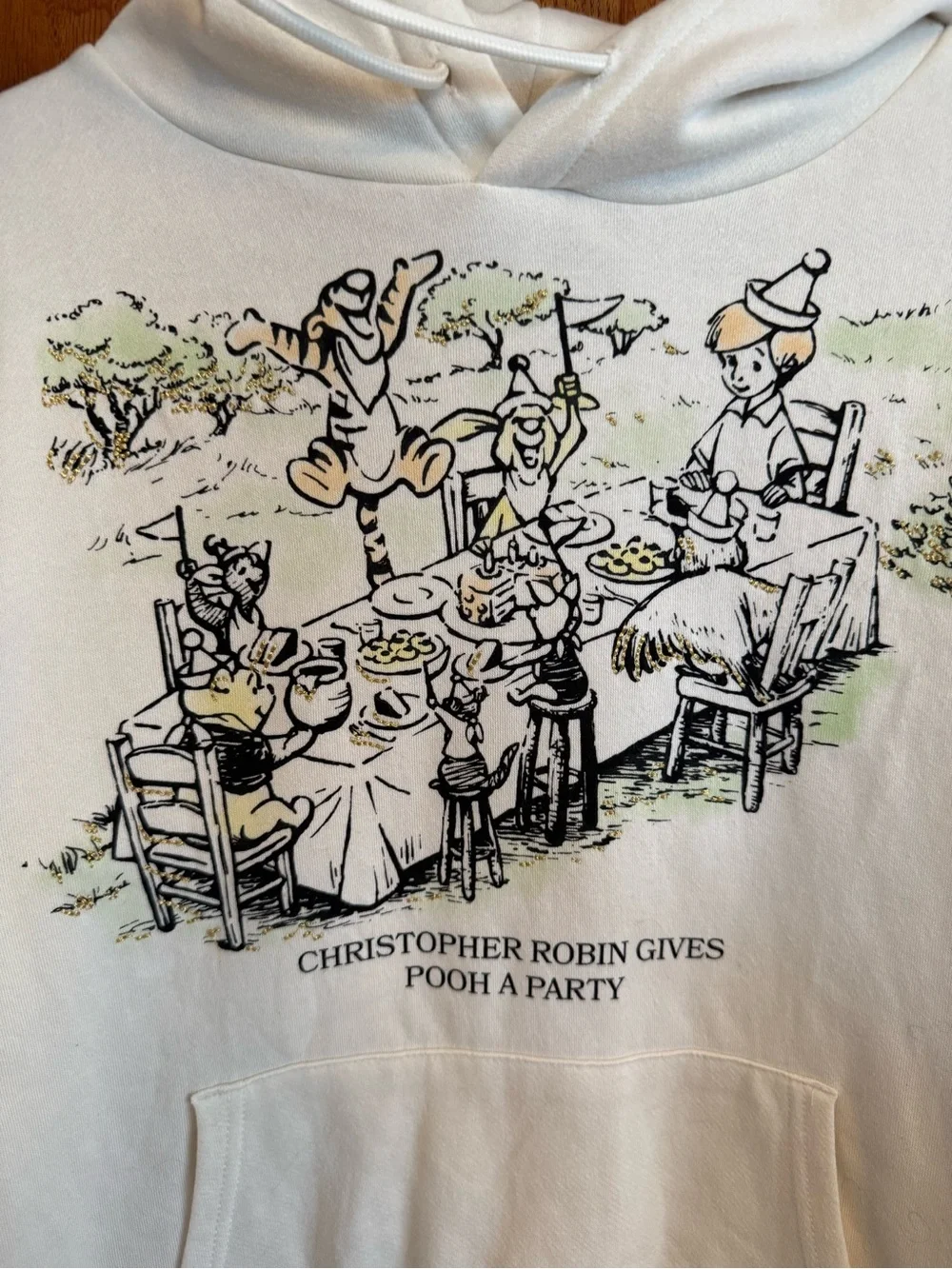 Disney Winnie the Pooh 